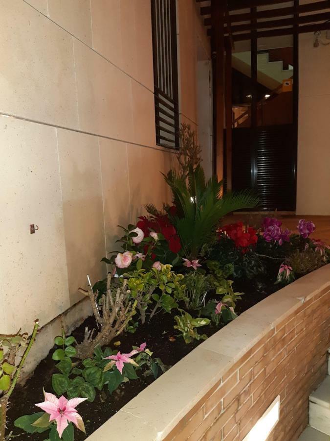 Apartamento Berenguela 코르도바 외부 사진